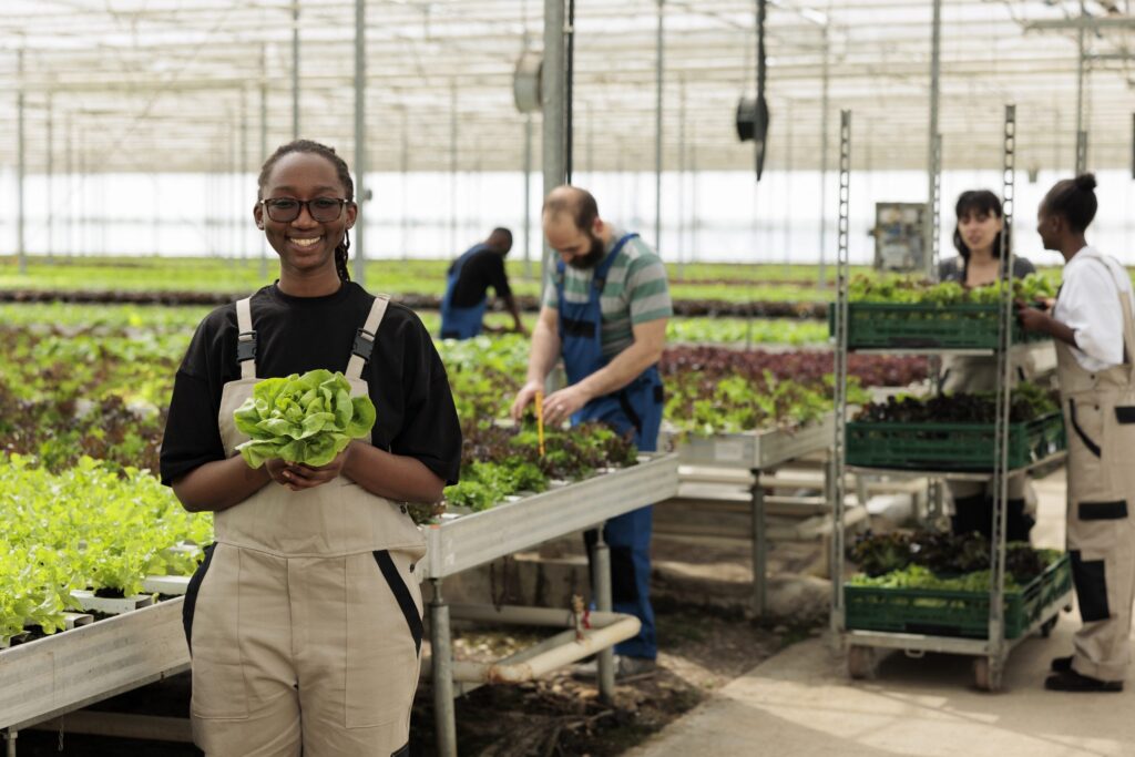South Africa Youth Agriculture Push Targets Food Security, Finance & Future Growth agriculture