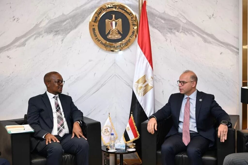 South Africa and Egypt Advance Automotive and Industrial Cooperation south africa