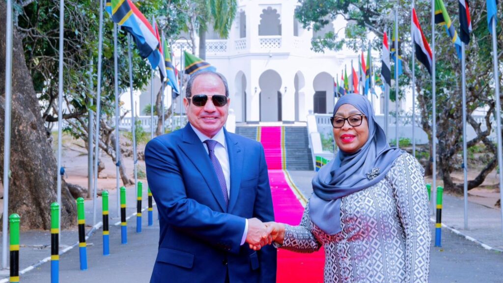 Egypt and Tanzania Advance Plans for New Maritime Trade Corridor Egypt and Tanzania